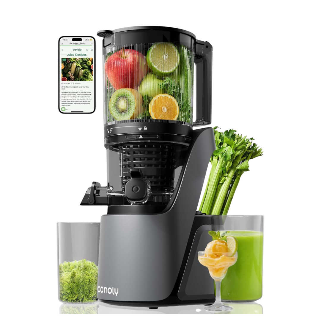 Slow Cold Press Juicer